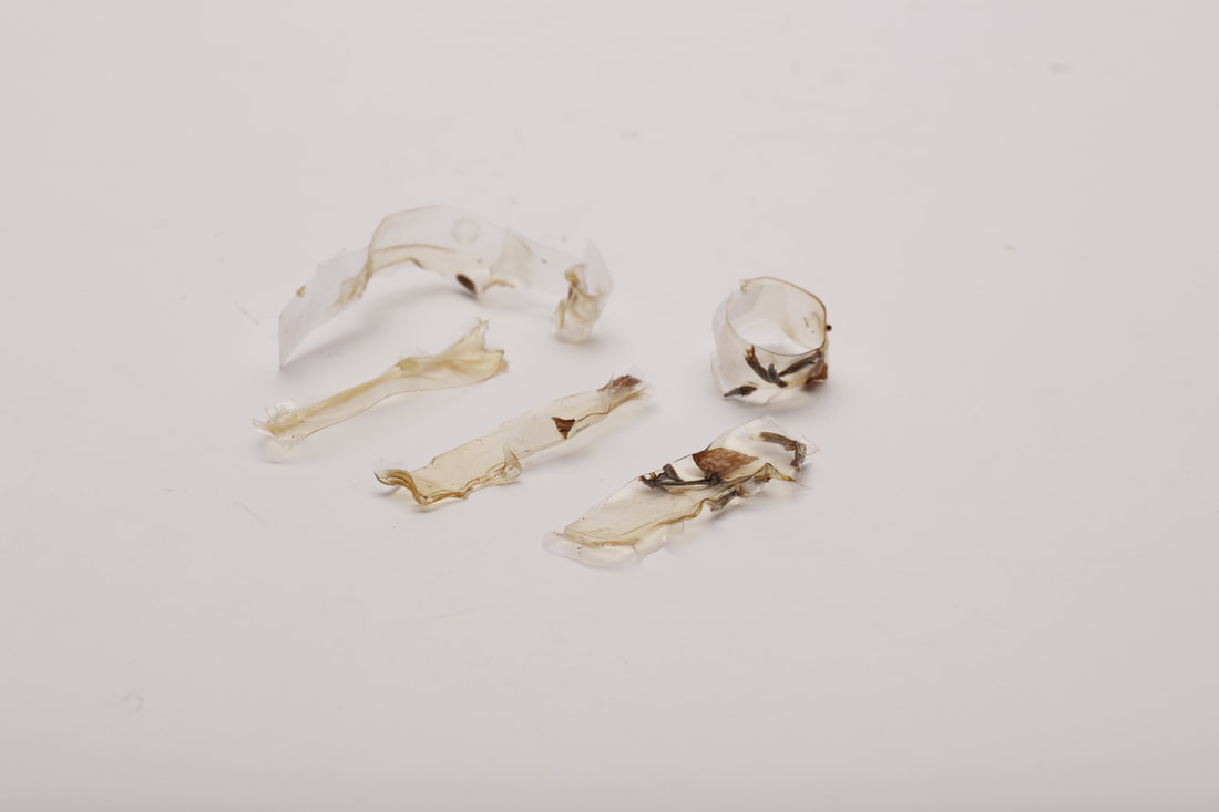 bioplasters