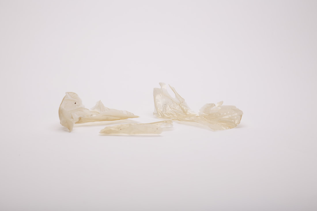 bioplastics