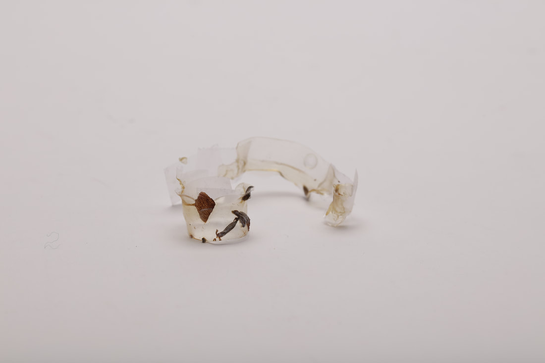 bioplasters