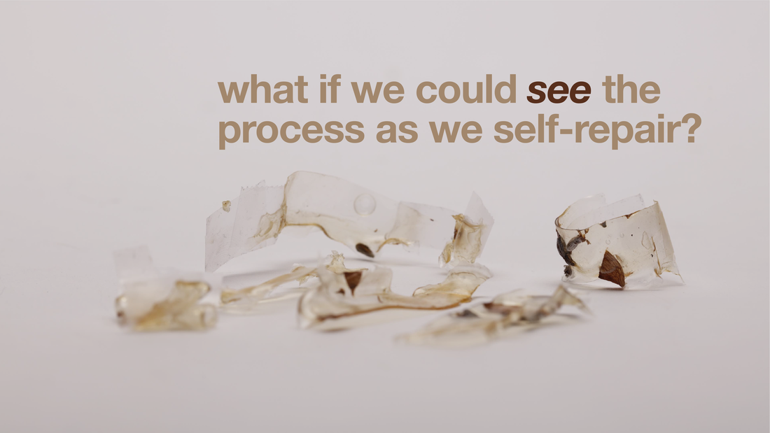 bioplasters