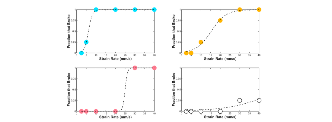slime graphs